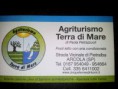 /album/incontro-a-la-spezia-6-7-settembre-2014/a7-settembre-2014-22-jpg/